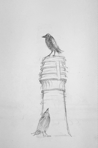 The View sketch image