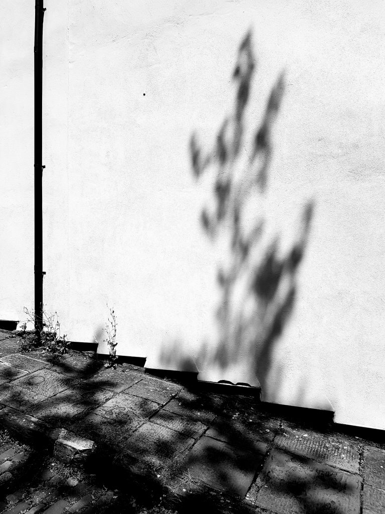 Shadow on the Wall B+W image