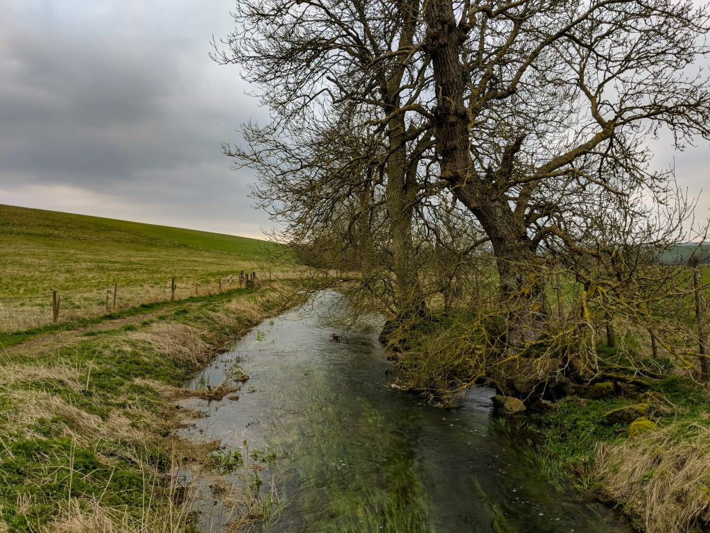 Avebury in April - Stream at Silbury Hill