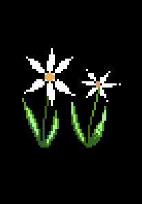 pixel eidelweiss image