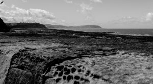 From the Harbour Wall image