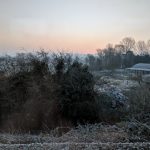 Cold Frost Morning I image