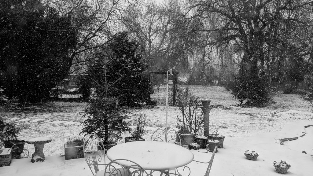 Snow Garden image