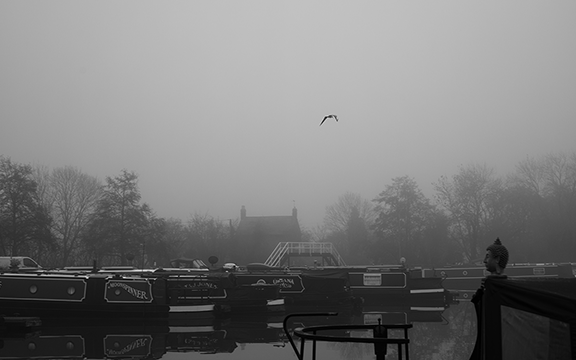 murpworkschrome - Contact Card - A Foggy Morning - Marina image