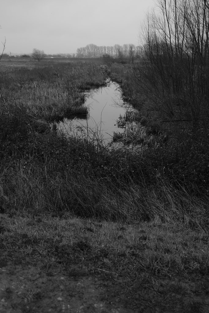 murpworkschrome - light on a lens - Cawdle Fen - A Cut in the Landscape image