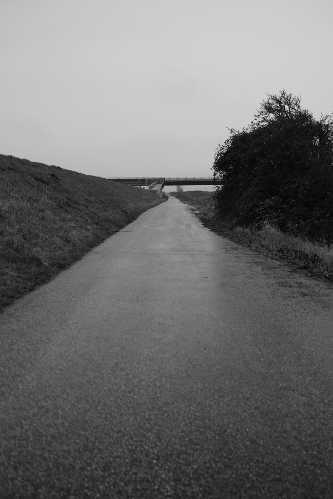 murpworkschrome - light on a lens - Cawdle Fen - To the Bridge image