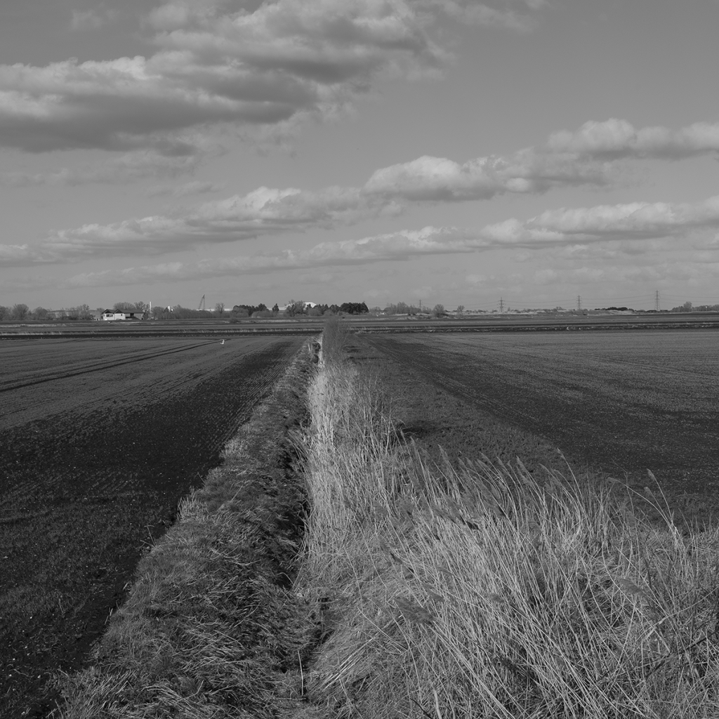 murpworkschrome - light on a lens - In the Flat Field - Field I image