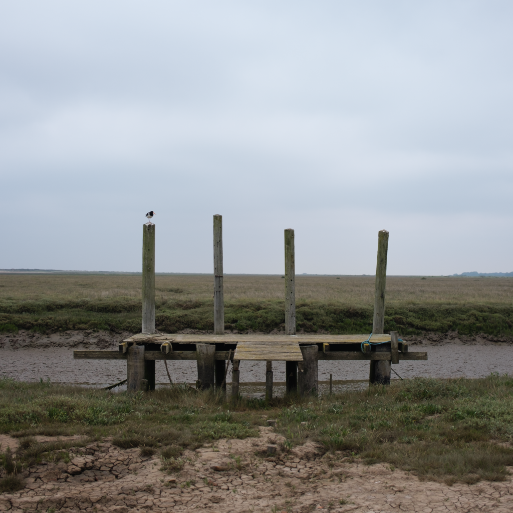 murpworkschrome - Light on a Lens - thornham Old Harbour I image