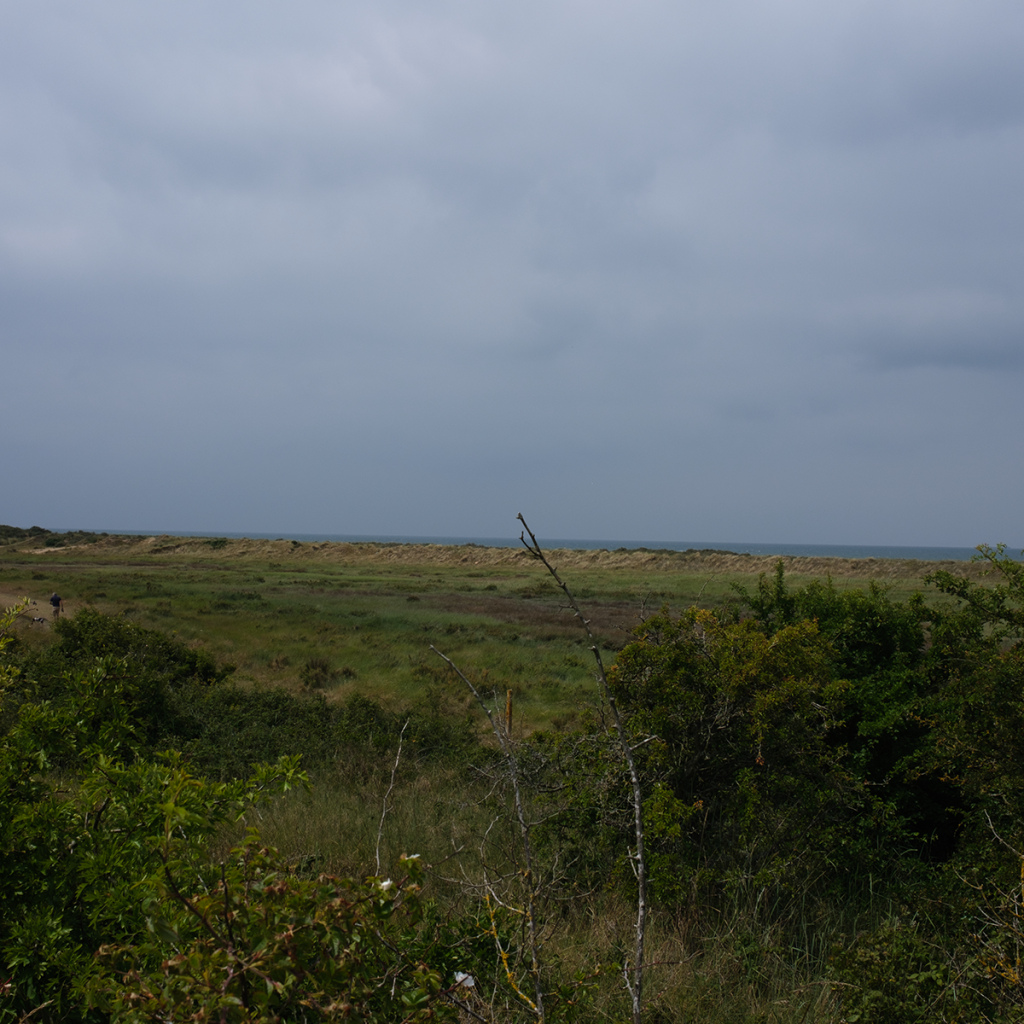 murpworkschrome - Light on a Lens
- Holme View I image