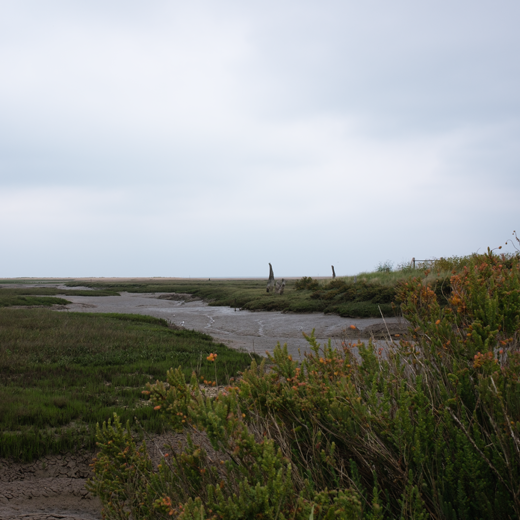 murpworkschrome - Light on a Lens - Thornham Salt Marshes IV image